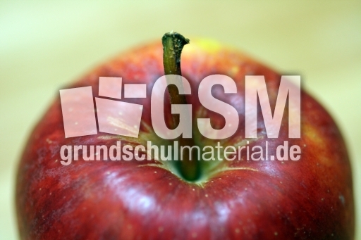 Apfel-Stängel-2.jpg